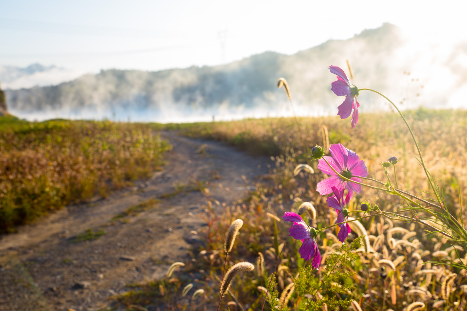 Wheelchair Accessible Hikes Utah