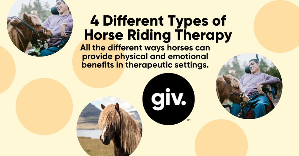 4 Different Types of Horse Riding Therapy - BLOG