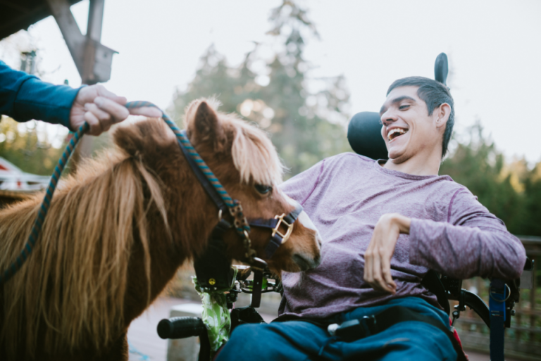 4 Different Types of Horse Riding Therapy BLOG