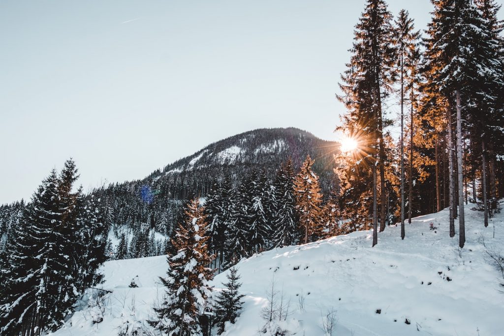 Adaptive Skiing Utah